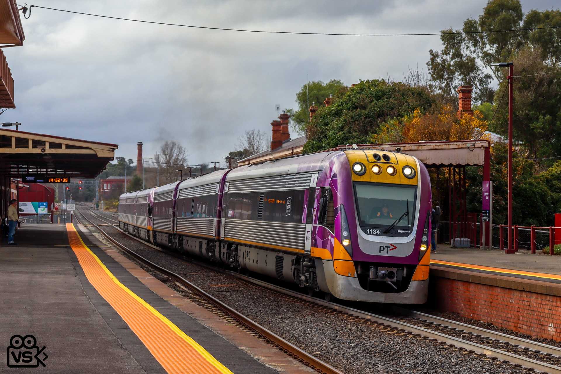 8036, Castlemaine