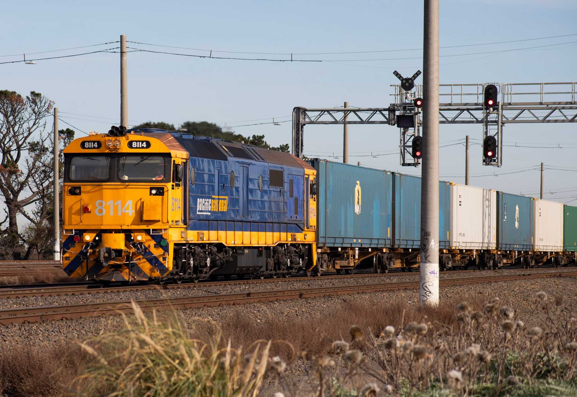 8114 | 9784V | 18/7/26