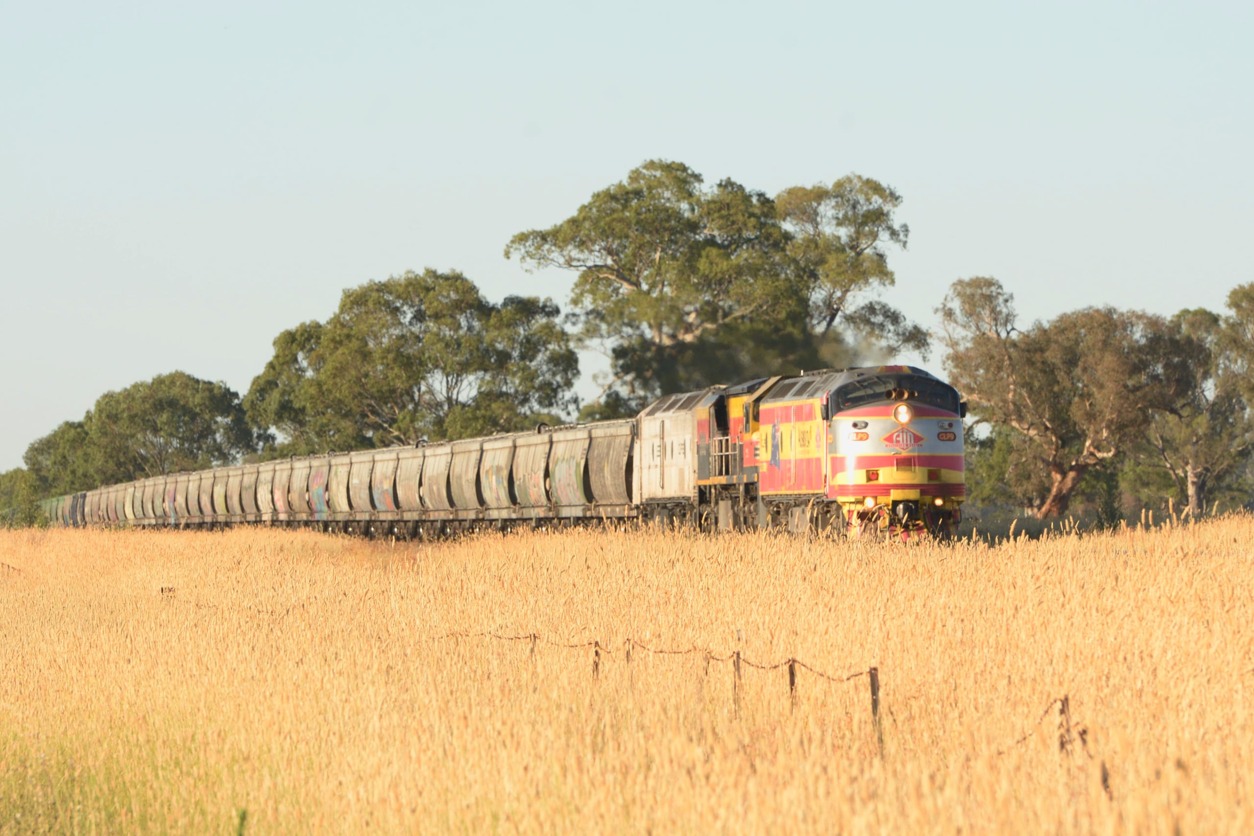 CLP9 leading a loaded grain to melbourne